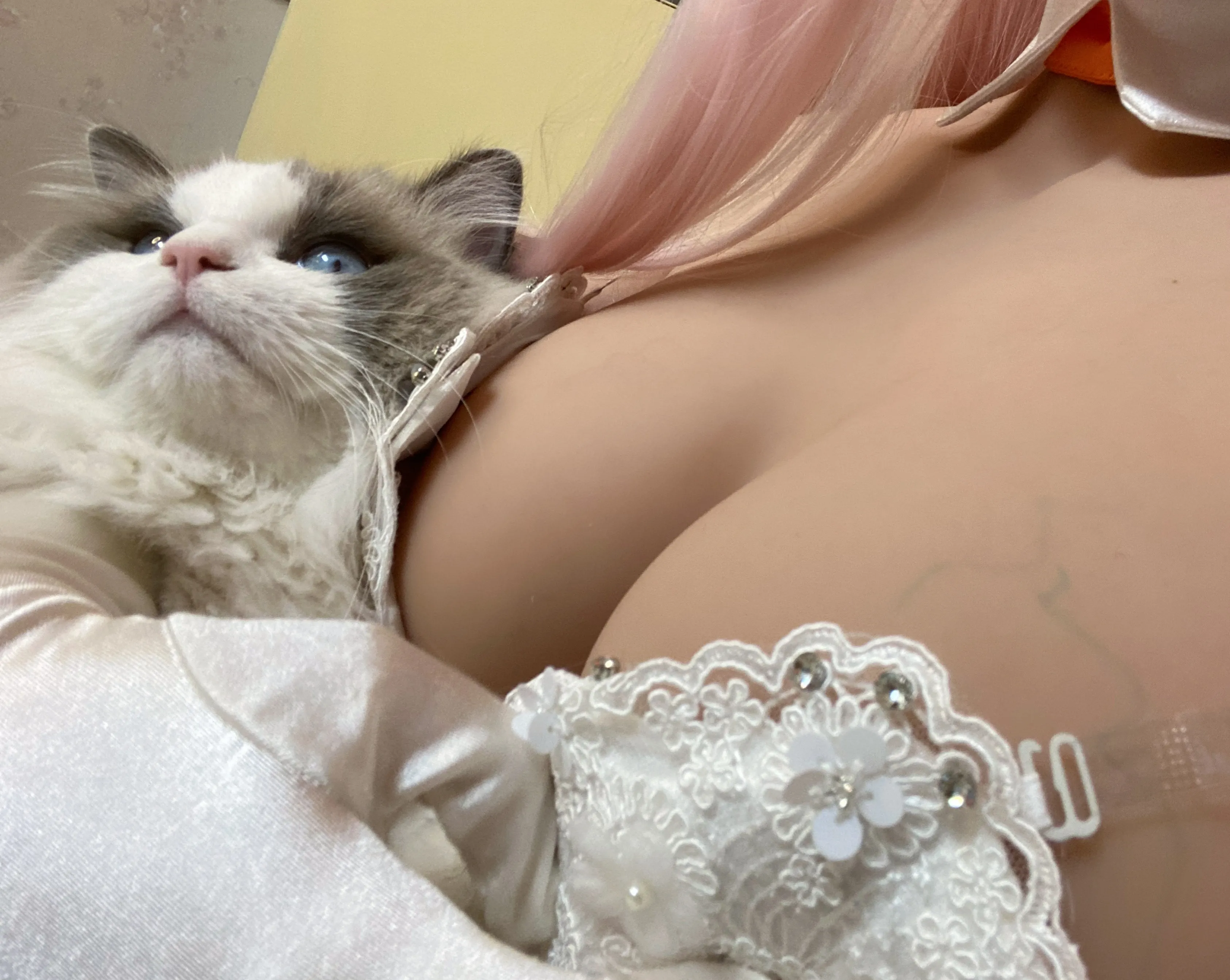 [COSPLAY] Cheese Block Wii - NO.032 02 Selfie [40P-170MB]