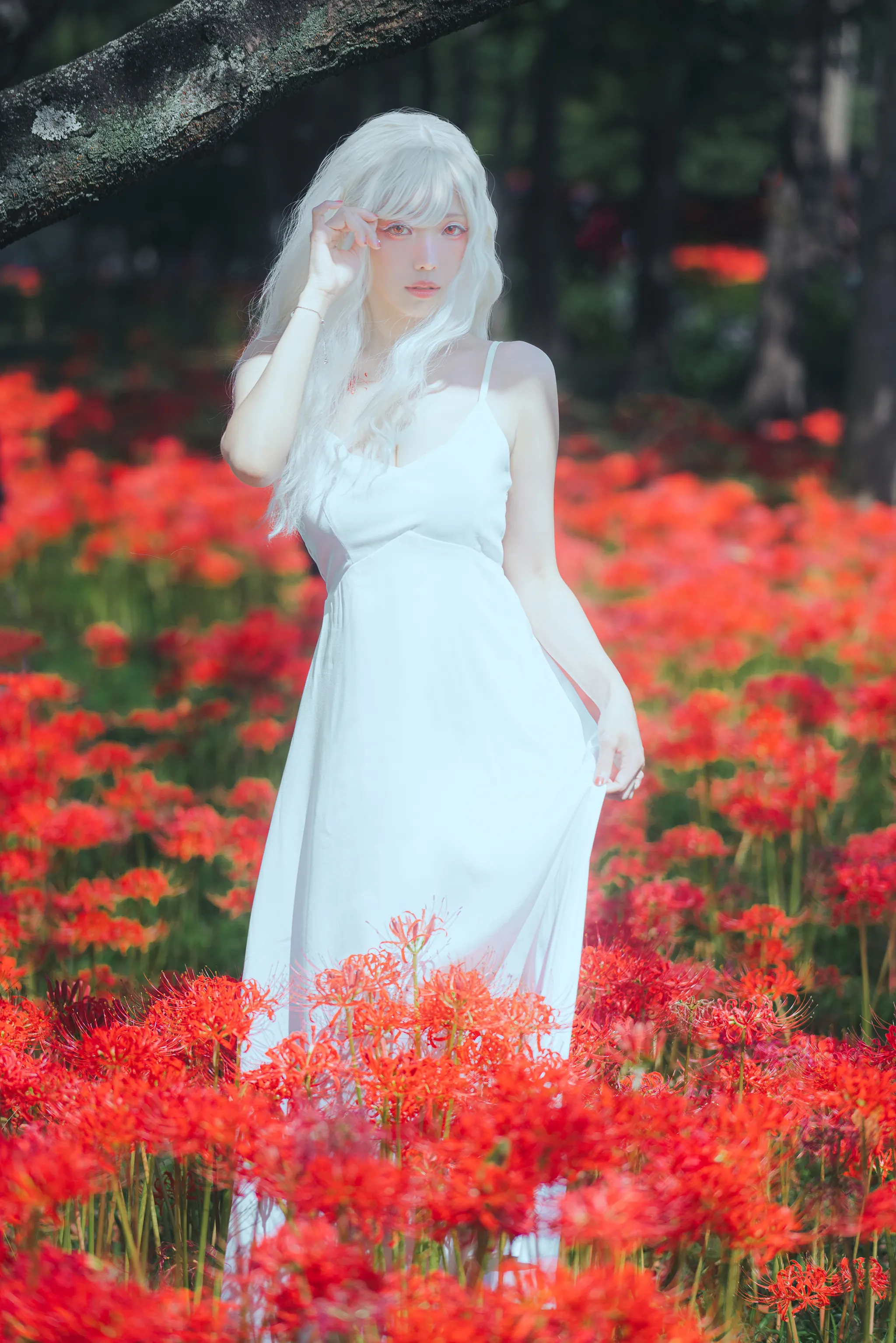 [COSPLAY] B-White spider lily White porcelain other side [27P-83MB]
