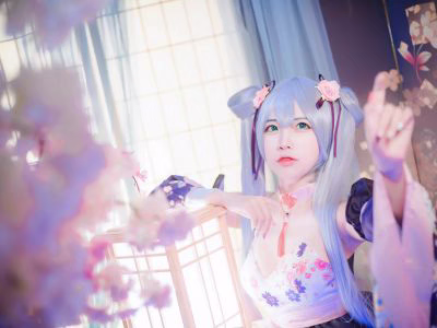 Nisa Nisa NO 055 Double Ponytail 17P 14MB - 3D DongHua Art