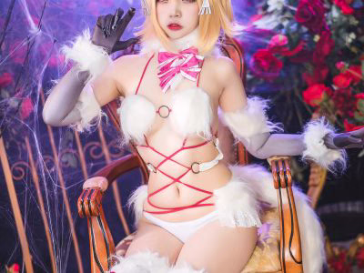 Nisa Nisa NO 062 Fate Baizhen Dangerous Beast 31P 492MB