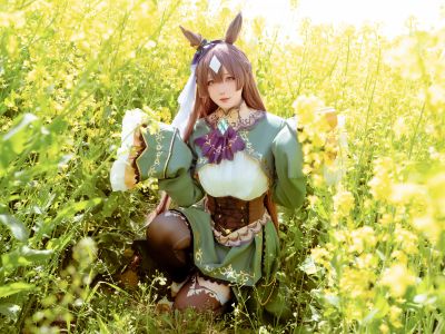 [COSPLAY] Star Crane - NO.223 July 2024 Plan G Gift Horse Racing Girl Rishi Light Diamond Dream Response [48P1V-412MB]