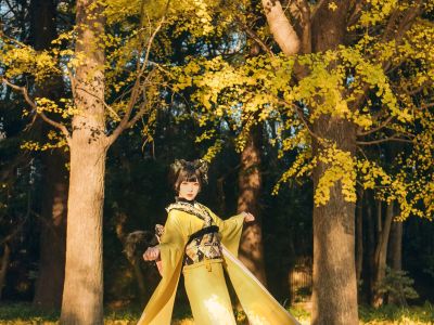 [COSPLAY] Ginkgo Black Cat Silver Apricot Black Cat