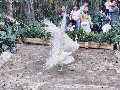 Eyes and Devil W – NO.099 April 23 fantia subscription [38P-2V-179.1M].zip