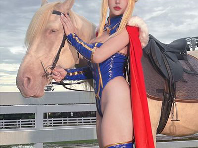 Puy Puy - NO.008 Artoria Lancer FateGrand Order [180P22V-496MB].zip