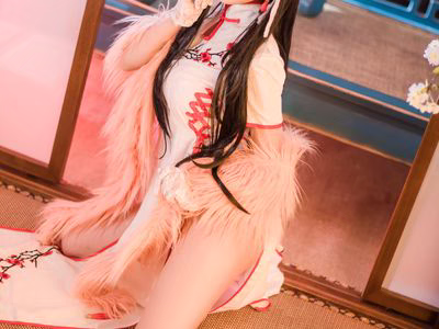 Shika Deer Deer NO.013 Atago Cheongsam [30P-64MB].zip