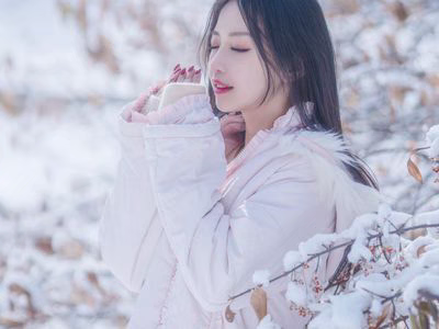 Shika Deer Deer NO.046 Snow Scenery [29P-154MB].zip