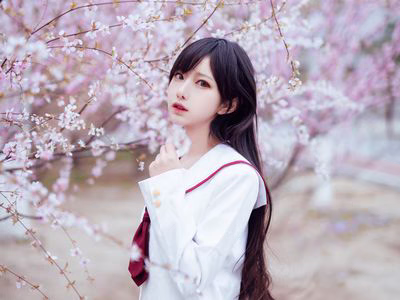 Shika Deer Deer NO.047 Cherry Blossom [13P-92MB].zip