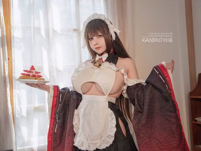 NO.026 Cassinian Bison Maid [35P2V-983MB].zip